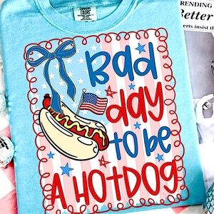 Comfort Colors Tee In CHAMBRAY Featuring "BAD DAY TO BE A HOT DOG" Transfer